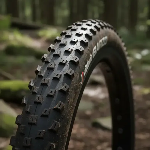 Pneu Vittoria Barzo Xc 29x2.35 Tlr Tubeless Sport 60tpi Pto