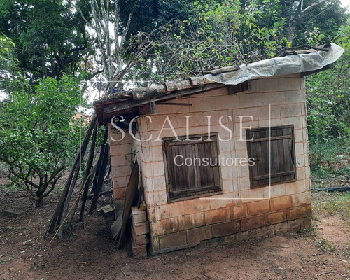 Imagem 26 de 30 de Chacara - Ch00001 - 69532583