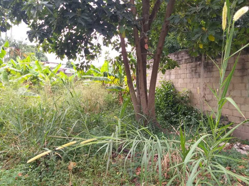 Imagen 22 de 25 de Casa En Las Mayas En El Limon En Maracay