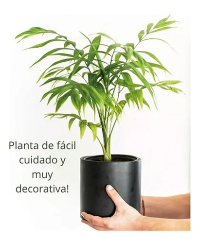 Decoracion Flores Artificiales Para Casa Planta
