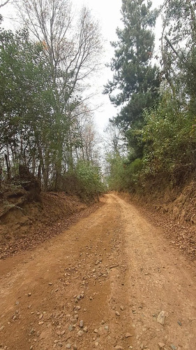 Vive En La Naturaleza Parcela De 10000mt2 En La Placeta