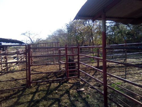 Imagen 10 de 14 de Finca Con 1.100 Hectáreas De Terreno Propio Tu Oportunidad