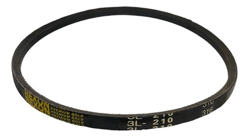 Correia 3l 210