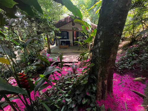 Casa Na Floresta - Ilha Grande