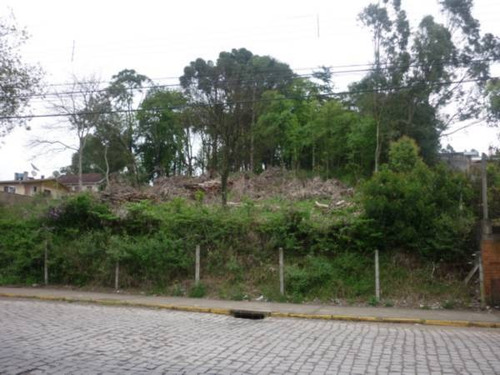 Imagem 4 de 4 de Terreno - Petropolis - Ref: 4428 - V-4428