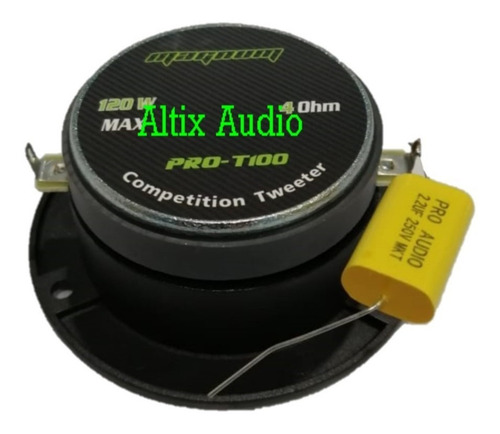 Par De Tweeter Bala Pro-t100 Magnum 120 Watts Max Color Negro