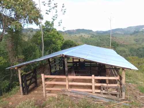 Vendo Finca En Yolombo Antioquia