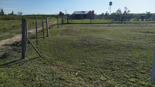 Terreno En Federación (entre Ríos)
