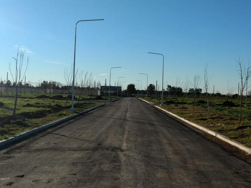 Imagen 9 de 11 de Terreno - Perez
