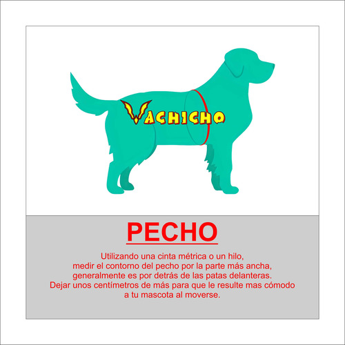 Ropa Abrigo Capa Perro Gato - Talles Chicos - Vachicho T.1 - Racing 01