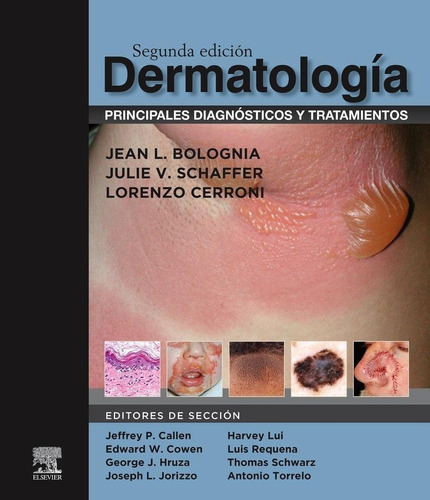 Libro: Dermatología: Principales Diagnósticos Y Tratamientos