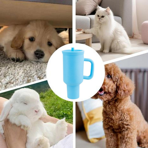 Juguete Para Botella De Perro Juguete Mordedor Para Perro Ju