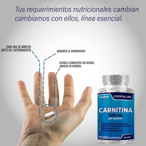 Carnitina 1200 Mg | Lipodrene | Essential 60 Caps Sabor Sin Sabor