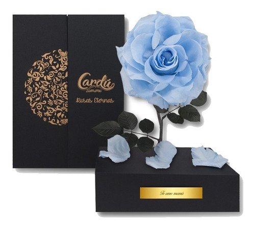 Caja Con Rosa Eterna Azul Silvestre Con Luz Y Placa Regalo