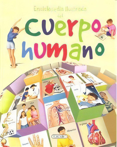 Enciclopedia Ilustrada Del Cuerpo Humano, De Todolibro, Equipo. Editorial Todolibro, Tapa Blanda En Español