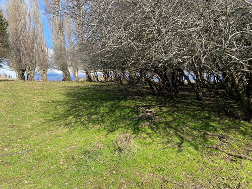 Coyhaique - Balmaceda (64372)