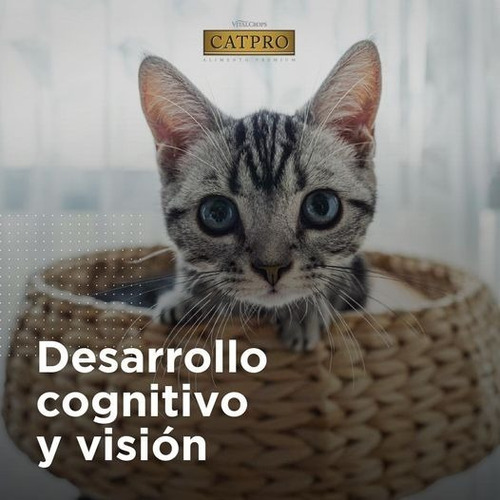Imagen 4 de 8 de Alimento Para Gatos Premium Catpro Kitten X 2 Bolsas 7,5 Kg