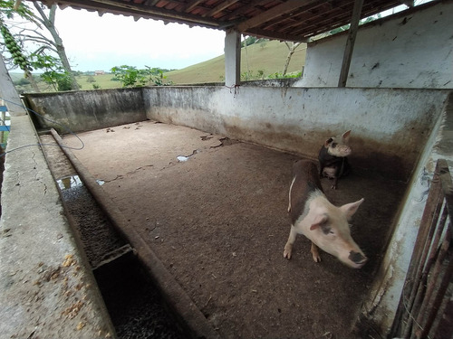 Imagem 9 de 14 de Chácara À Venda, Comunidade Urbana De Andana, Guarapari, Es - Es - Ch0004_supp