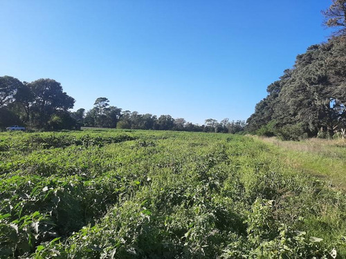 Terreno - Mar Del Plata