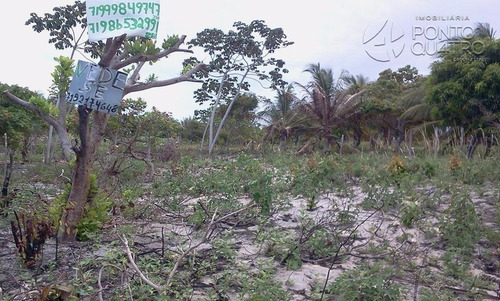 Imagem 10 de 10 de Terreno - Porto De Sauipe - Ref: 2533 - V-2533