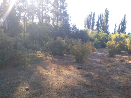 Vendo 4 Hectáreas San Clemente Con Rol Propio Talca
