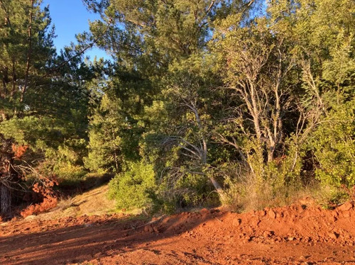 Sitio En Venta En Florida