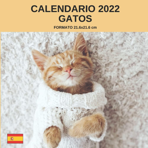 Libro: Calendario 2022 Gatos: Formato 21.6x21.6 Cm | 12 Mese