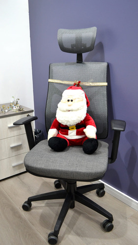 Silla Ergonómica De Oficina Respaldo Mesh Rolic Cool
