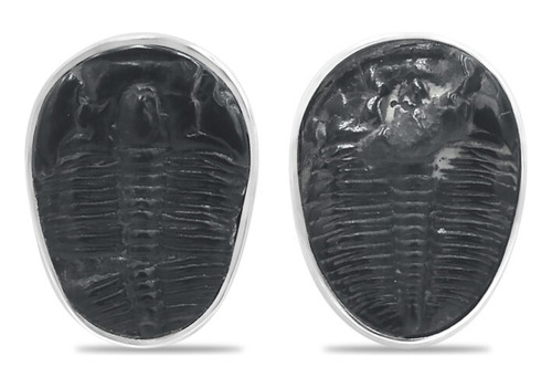 Aretes De Trilobites Fósiles En Plata De Ley