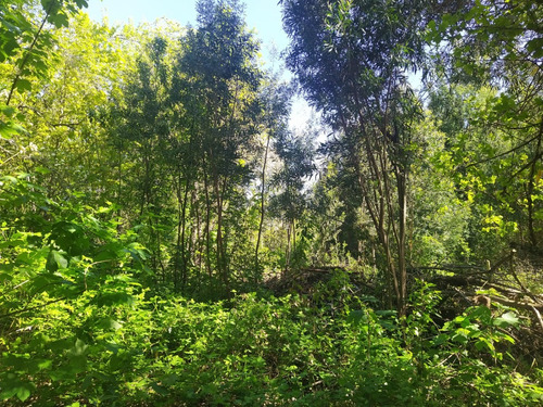Hermosa Parcela En Venta En Gorbea