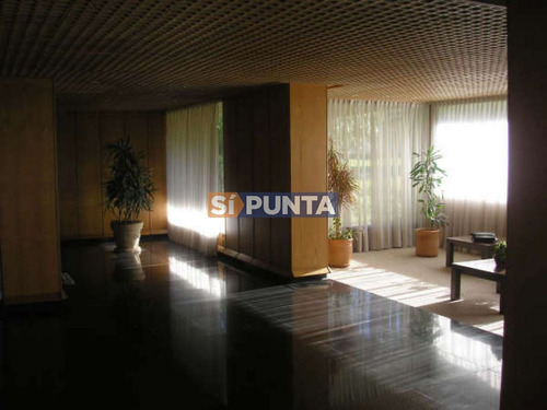 Imagen 15 de 30 de Apartamento En Alquiler Anual