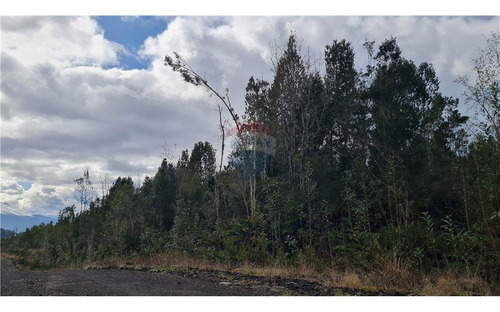 Parcela Con Bosque Nativo En Puerto Varas