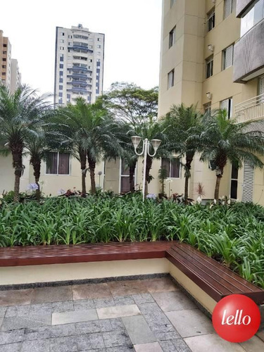 Imagem 20 de 29 de Apartamento - Ref: 237973