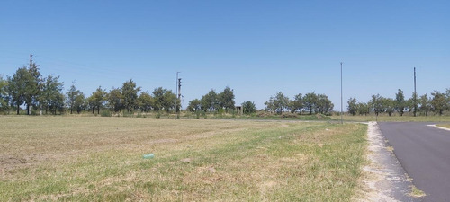 Imagen 6 de 6 de Terreno En Venta - Junin