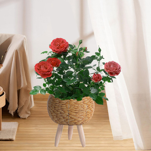 Cesta Tejida For Planta Con Patas Maceta Patas De Pie De