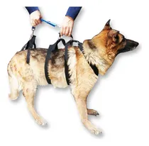 Comprar Arnés De Rehabilitación Para Perros Ortopedia Displacia Ftz