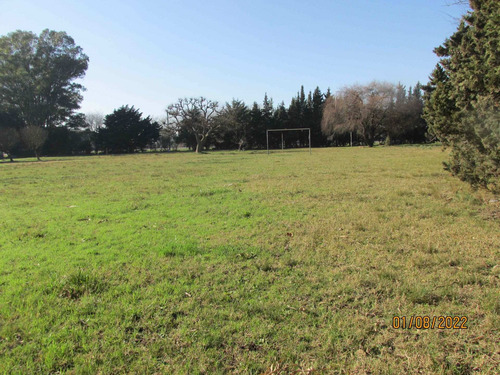 Imagen 21 de 30 de Quinta Venta Cañuelas Pileta Y Quincho