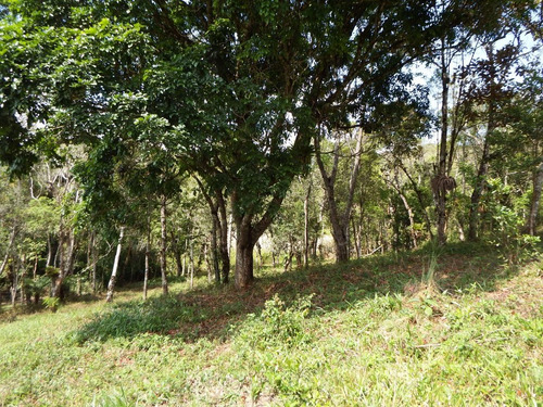 Imagem 11 de 11 de Chácara À Venda Em Juquitiba Ideal Para Moradia 3.000 M²