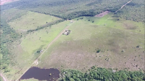 Fazenda 500 Alqueires (1210 Hectares), Juara - Mt