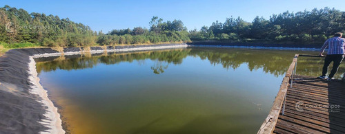 Se Vende, Chacra De Arándanos, En Producción 25 Ha En San José, Apóstoles - Misiones
