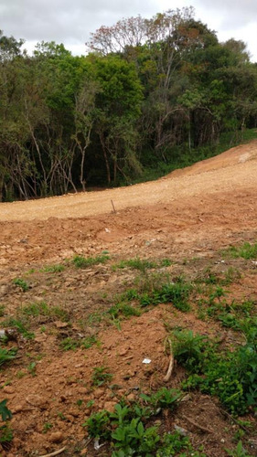 Imagem 8 de 15 de Terreno Em Condomínio Para Venda Em Curitiba, Santa Cândida - 339_2-1090138