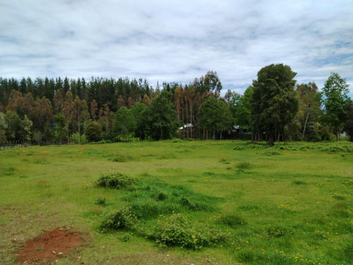 Vende Terreno 6.700 M2 Cerca Lago Ranco, Pillaco, Region De