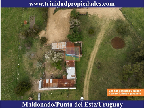 Imagen 6 de 14 de Campo Turístico Ganadero 325has
