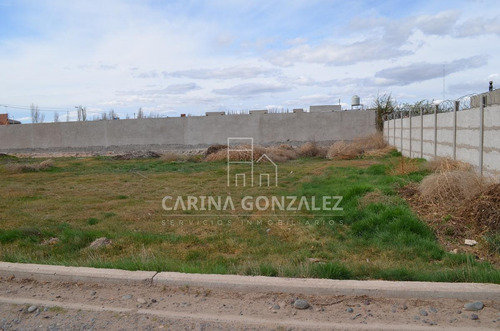Imagen 14 de 16 de Venta Terreno 996m2 Apto Desarrollo Confluencia Rural Neuquén