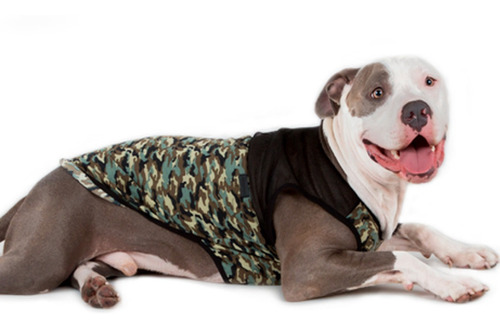 Remeras Y Musculosas Livianas Para Perros Grandes Summer