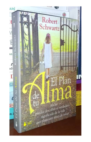 El Plan De Tu Alma De Robert Schwartz