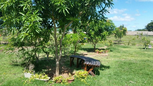 Imagem 8 de 8 de Terreno 10.000m Com Casa Em São Jose De Mipibú