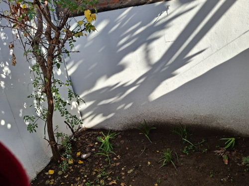 Acogedora Casa En Tranquilo Barrio De San Bernardo