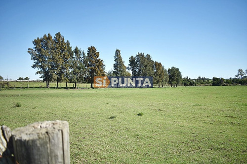 Imagen 7 de 19 de Chacra San Carlos Ruta 9