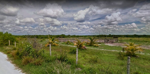 Imagen 6 de 8 de Venta De Terrenos En Celestun